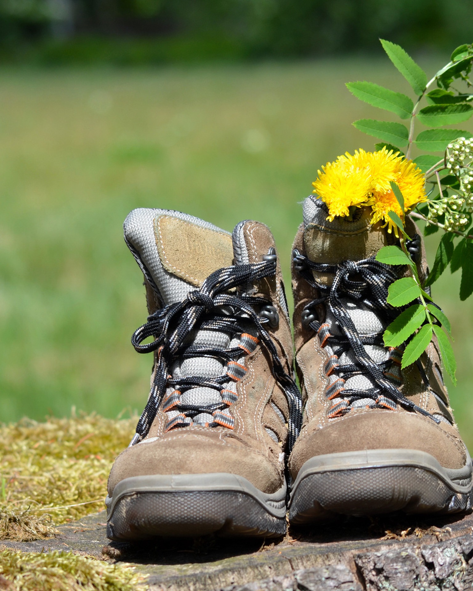 Wandern und genießen!